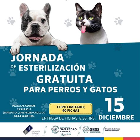 Viernes 15 Jornada de Esterilización El Quetzal de Cholula