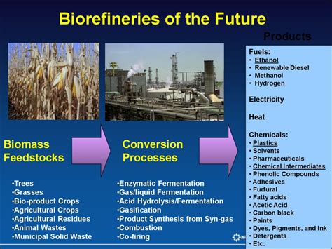 Biomass Feedstocks презентация онлайн