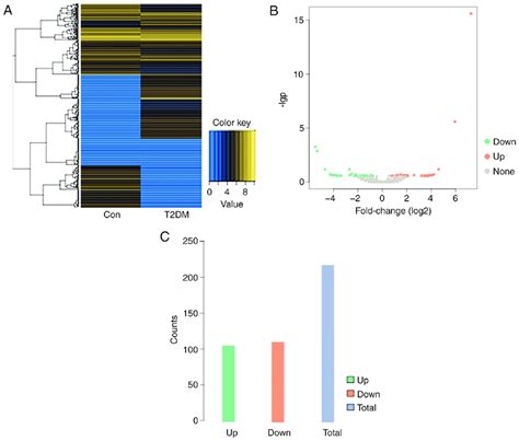 Overview Of CircRNA Differential Expression A Hierarchical Cluster