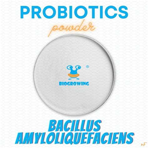 Long Life Bacillus Amyloliquefaciens Ba G Probiotics Powder Oem Odm