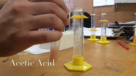 Potato Enzyme Catalase Lab