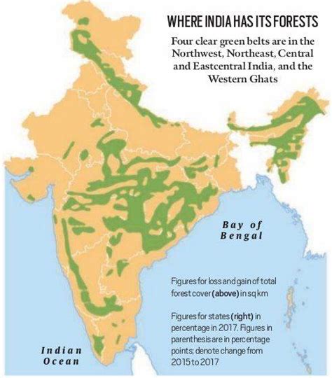 In Fact: Why India doesn’t lose forest cover - Tree Frog creative