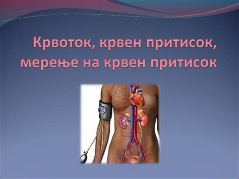 крвоток, крвен притисок, мерење на крвен притисок.