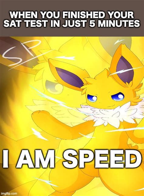 Speedy Meme by Arty-PURRchardy2002 on DeviantArt