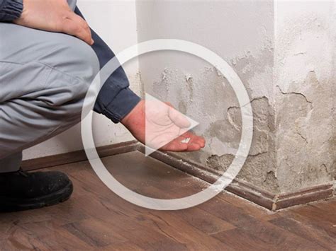 Video Effective Ways To Prevent Water Damage To Your Home Golden Rule