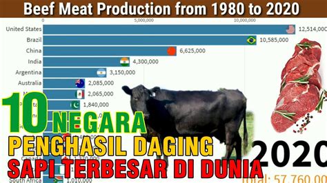 Peternakan Sapi Perah Terbesar Dunia