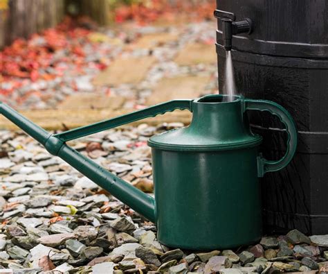 Watering plants in containers: top tips to get it right | Homes & Gardens