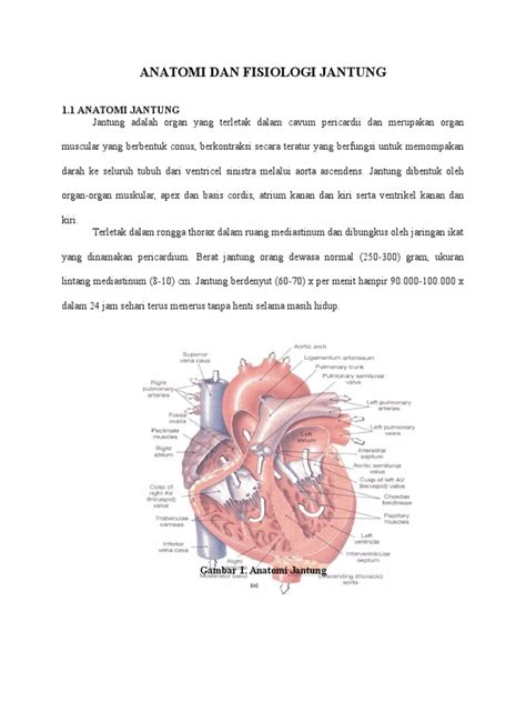 Gambar Anatomi Fisiologi Jantung Gambar Vaskularisasi Di Rebanas Rebanas