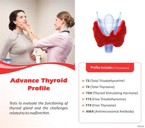 Thyrocare Advance Thyroid Profile Profile In Jaipur 6 Tests Price Rs 1600