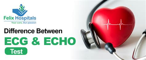 Difference Between Ecg And Echo Test