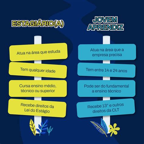 Pode Ser Jovem Aprendiz Duas Vezes - Ser jovem aprendiz ou pessoa estagiária costumam ser duas ótimas ...