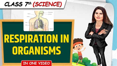 Respiration In Organisms Full Chapter In 1 Video Class 7th