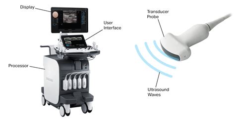 Ultrasound — Twomey Consulting, LLC