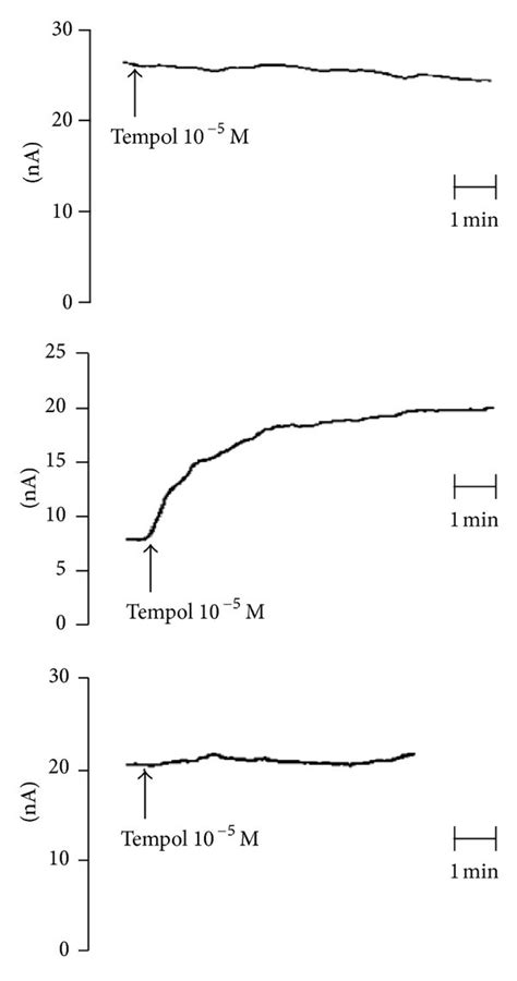 Effect Of Tempol M On No Levels A Typical Experiment Of Direct