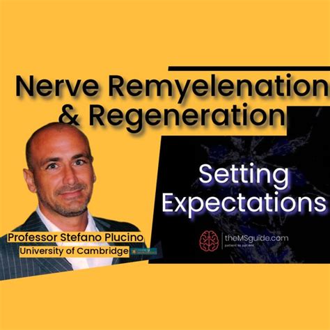 Nerve Remyelination & Regeneration in Multiple Sclerosis - theMSguide ...