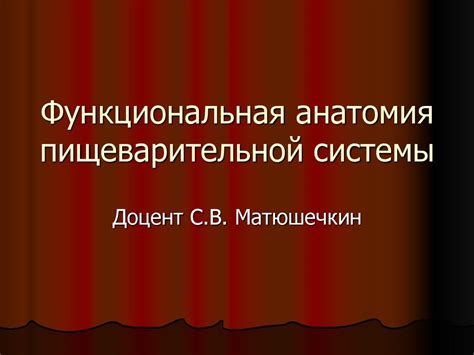 Функциональная анатомия пищеварительной системы - презентация онлайн