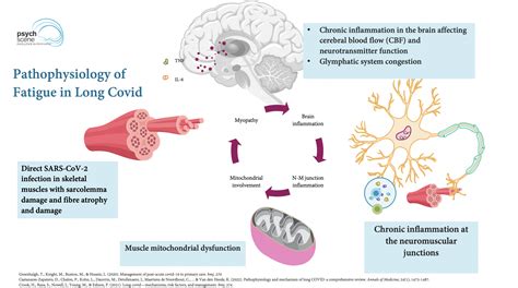 Long Covid Pathophysiology And Clinical Update