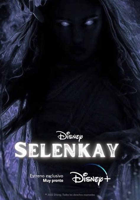 Où regarder la série Selenkay en streaming