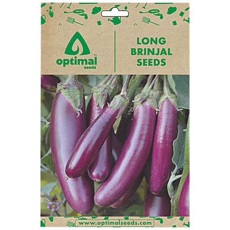 Buy Optimal Seeds Long Brinjal Vegetable Seeds Online At Best Price Of Rs 179 Bigbasket