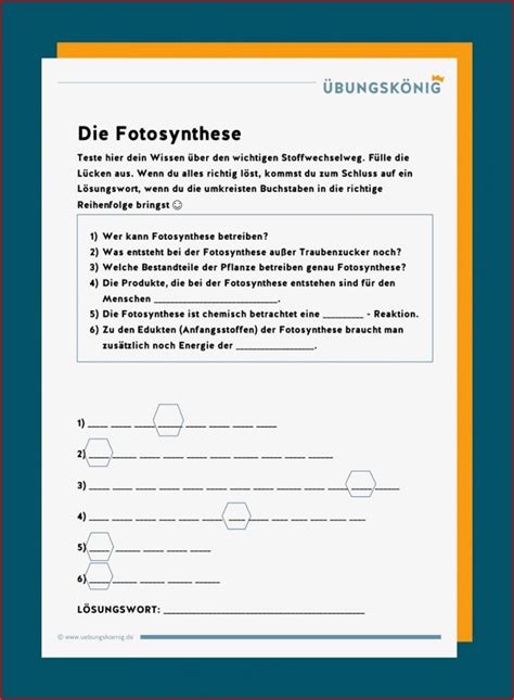 Fotosynthese Bei Licht Und Schatten Arbeitsblatt Lösung 3 Vision Nur