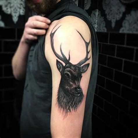 Best Stag Tattoo Designs Ideas And Meanings Stag Tattoo Design