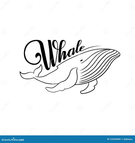 The Word Whale Whale Black And White Stock Vector Illustration Of