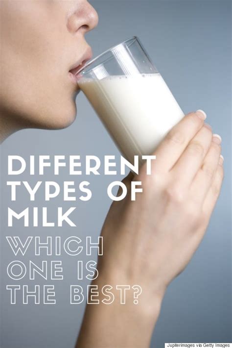 Different Types Of Milk Which One Is The Best