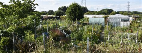 Les Jardins Familiaux Eysines