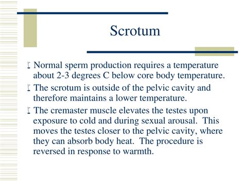 Ppt Reproductive Systems Powerpoint Presentation Free Download Id