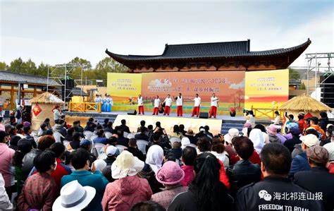 海晏：穗穗年年丰收味 共赏金秋好丰景 海北新闻网 青海新闻网