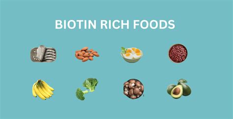 16 Best Foods Containing Biotin Livofy