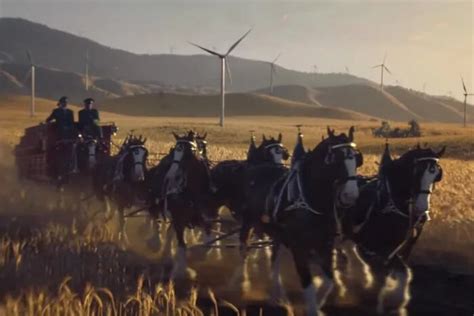 Budweiser’s Super Bowl commercial featuring Clydesdales and wind power ...