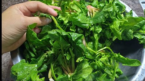 Чуду со Шпинатом - YouTube