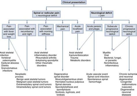 Differential Diagnosis And Initial Management Spine Pathology Neupsy Key