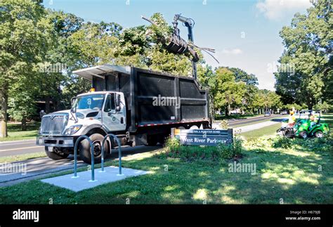 Cherry Picker Loading Tree Into Park And Recreation Board Maintenance