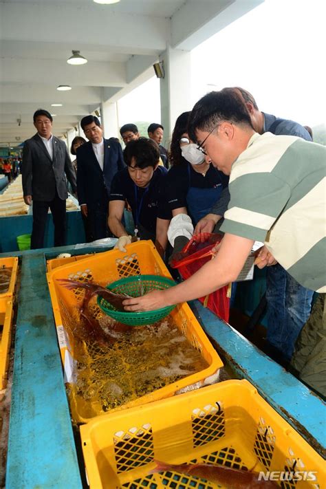 경남수산안전기술원 25일 수산물 방사능검사 공개 거제수협 성포위판장 파이낸셜뉴스