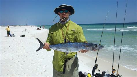 King at Fort Pickens | Pensacola Fishing Forum