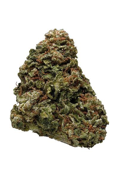 Pink Kush Strain - Hybrid Cannabis Review, CBD, THC : Hytiva