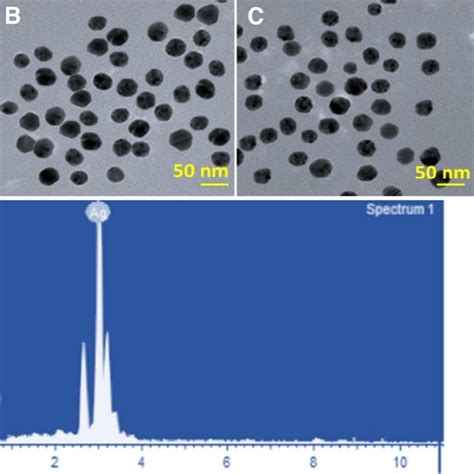 Ac Hr Tem Images D Saed Pattern And E Eds Analysis Of Prepared Agnps