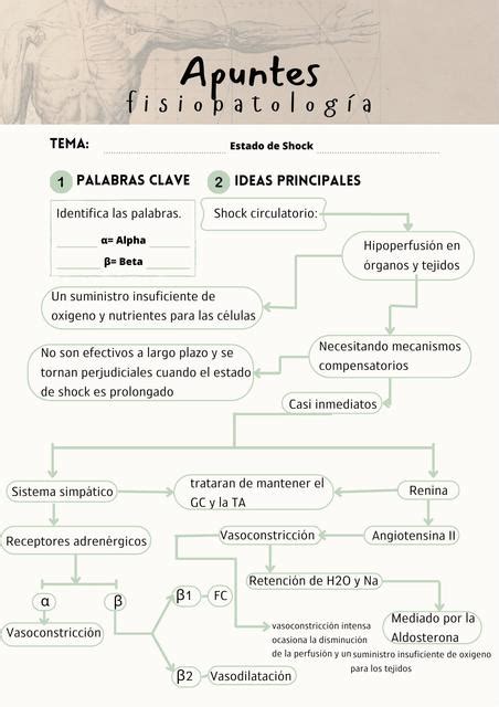 Fisiopatología Tecpa ST uDocz