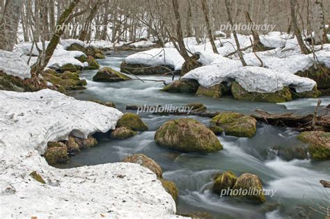 雪解けのスキー場 写真素材 3526706 フォトライブラリー Photolibrary