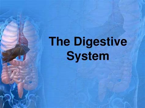 Free Digestive System Powerpoint Template Printable Templates