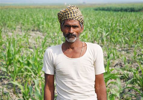 Farmer At Work In Maize Field In Bihar India A Farmer At Flickr