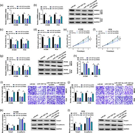 Mir‐1287‐5p Inhibited The Progression Of Nsclc Cells By Targeting