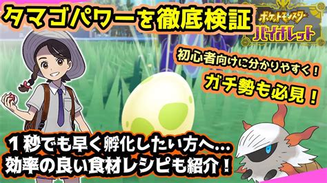 【ポケモンsv】タマゴの孵化厳選どうやってる？タマゴパワーを徹底検証！【攻略夢特性遺伝ポケモンスカーレットバイオレット】 Youtube