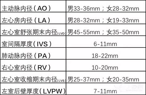 超实用！7 步读懂超声心动图多普勒