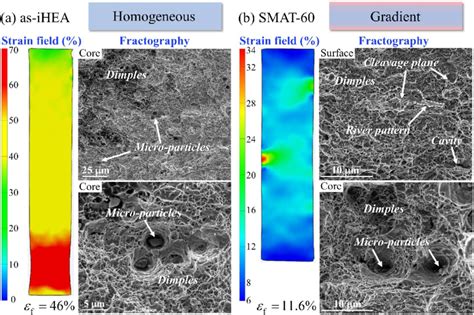 Surface Strain Field Measured By DIC And The Fractography Observed By