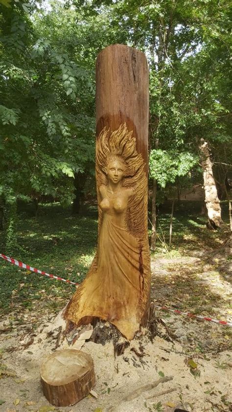 Sculptorii au finalizat lucrările realizate în interiorul arborilor