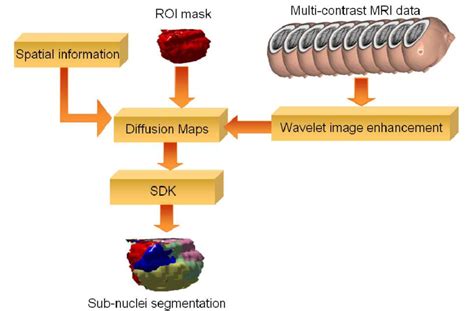 functional flow  segmentation    roi