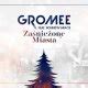 Gromee ft Sound n Grace Zaśnieżone miasta Tekst piosenki